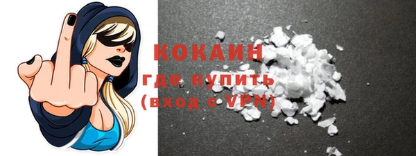 прущие грибы Богданович