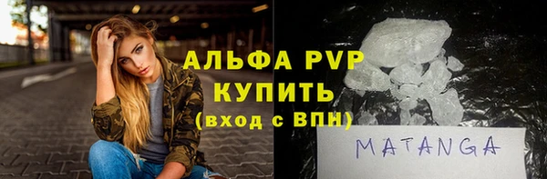 стаф Богородск