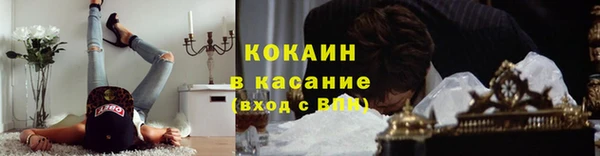 стафф Кинешма