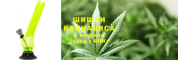 прущие грибы Богданович
