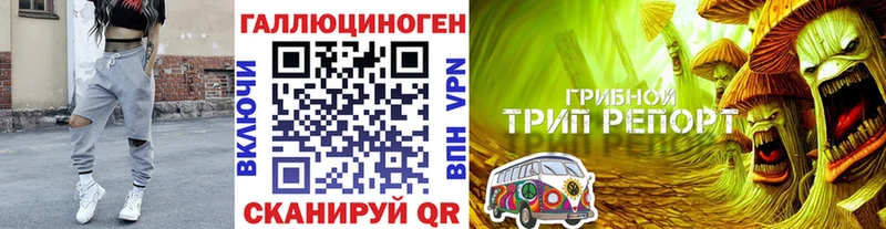 Галлюциногенные грибы Cubensis  Коммунар 