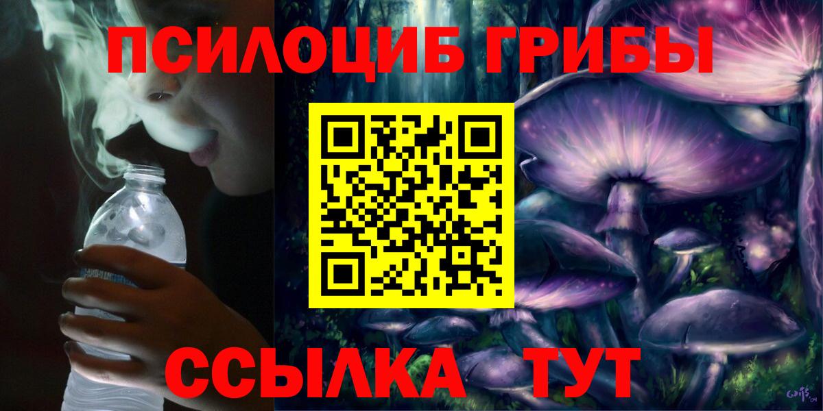 Псилоцибиновые грибы GOLDEN TEACHER Коммунар