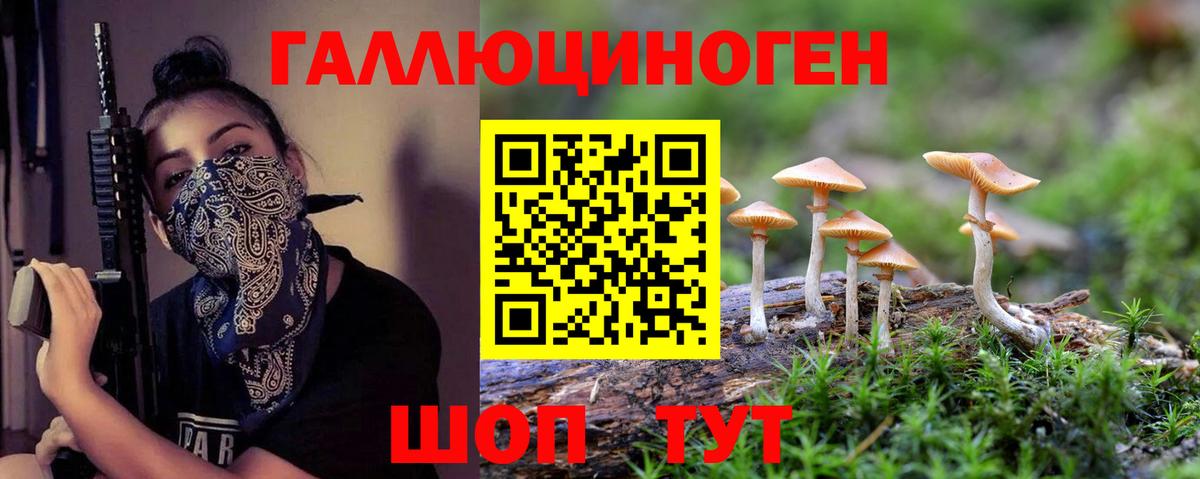 Коммунар  Галлюциногенные грибы MAGIC MUSHROOMS  Вход с VPN 