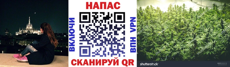 kraken ONION  Коммунар  Шишки марихуана планчик 
